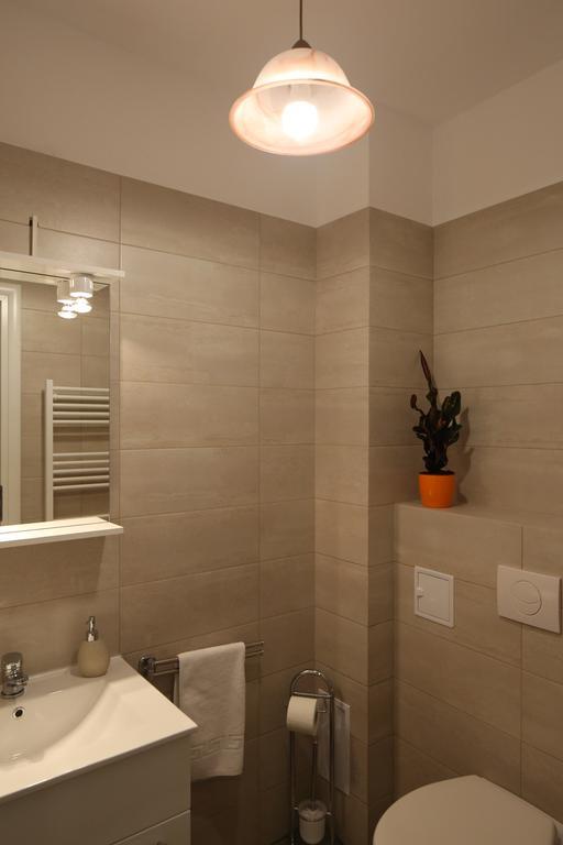 Apartment Schiller 3 Braşov Extérieur photo